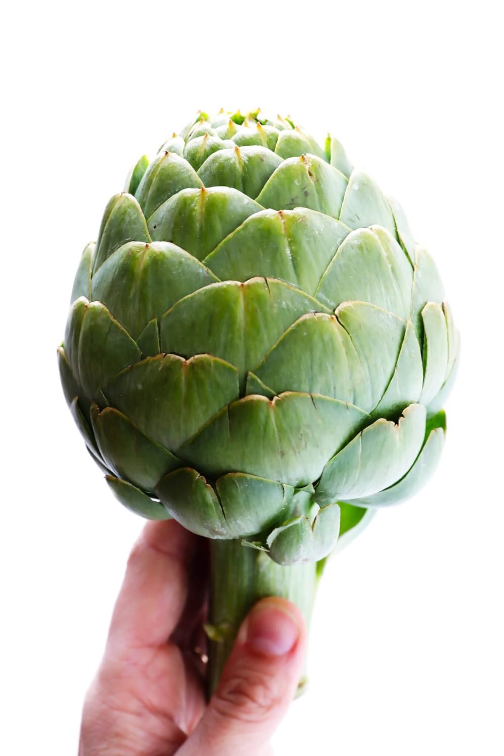 Artichoke