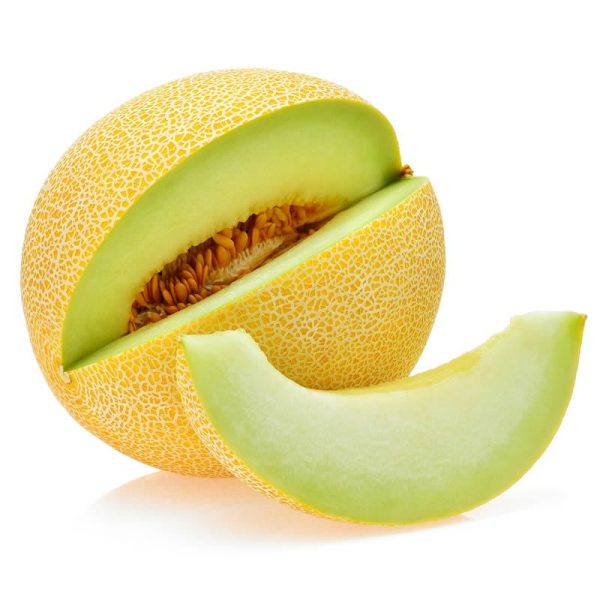 Galia Melon